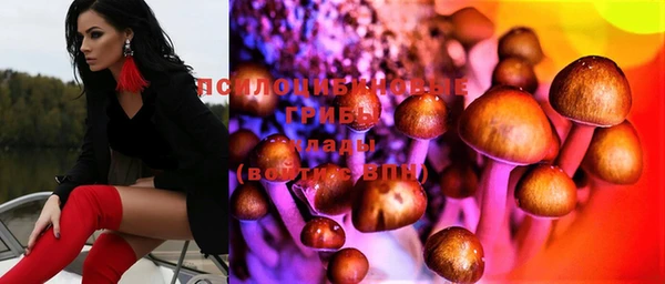 бутират Баксан