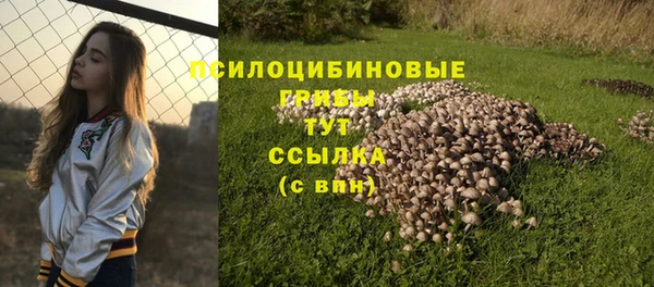 прущие грибы Балабаново