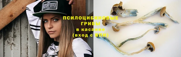 тгк Балахна