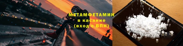 прущие грибы Балабаново