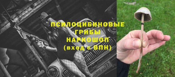 не бодяженный Аркадак