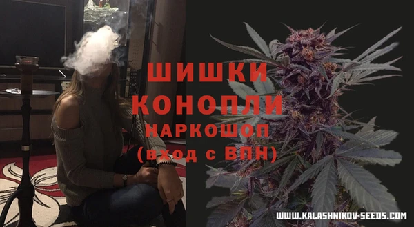 прущие грибы Балабаново