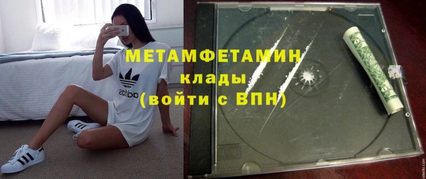 прущие грибы Балабаново