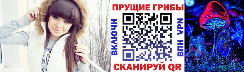 наркота  Ржев  Галлюциногенные грибы Cubensis 